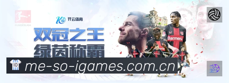 关于 爱游戏