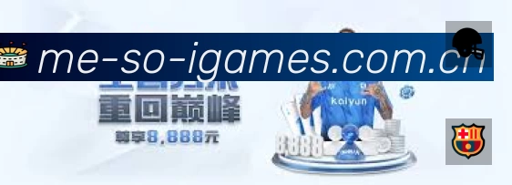 奖项4